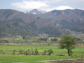 110505_1333_飯山菜の花公園（飯山市）
