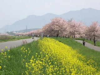 110508_0933_千曲川ふれあい公園（小布施町）