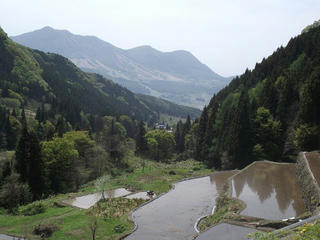 110515_1204_第１３回馬曲温泉やまぶき祭り（木島平村）
