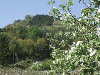 110515_0836_髻山城跡（長野市）