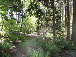 110515_0848_髻山城跡（長野市）