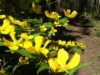 110515_0849_髻山城跡（長野市）