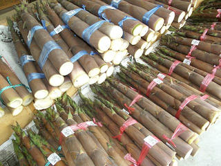 110612_1000_たけのこ祭り＆おやき恋訪 in おがわ（小川村）