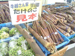 110618_1143_ファーマーズガーデンに展示されていた大きなたけのこ（安曇野市）