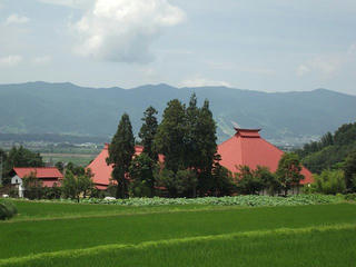 110709_1249_蓮寺・稲泉寺のハス（木島平村）