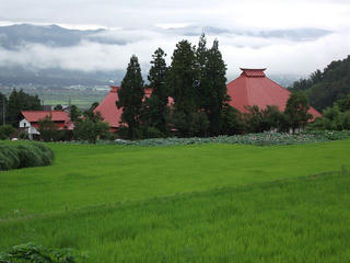 110730_1137_稲泉寺の大賀ハス（木島平村）