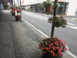 110729_0720_花がいっぱいの駒ヶ根市内（駒ヶ根市）