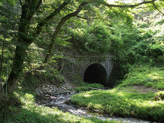 110813_0830_北の沢の渡河橋（辰野町）