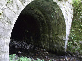 110813_0835_北の沢の渡河橋（辰野町）