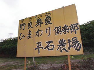 110816_0725_平石農場のひまわり（阿南町）