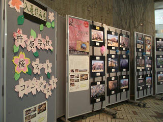 110816_1523_杵原学校 桜フォトコンテスト入賞作品展（飯田市）