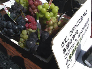 110918_1148_ＪＡ須高ぶどう祭り２０１１（須坂市）