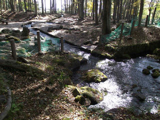 111029_1238_三分一湧水（北杜市）