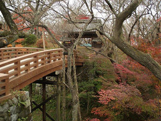 111105_0838_高遠城址公園の紅葉（伊那市）