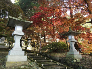 111112_1121_若穂清水寺の紅葉（長野市）