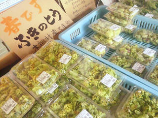 120421_1527_道の駅で販売されていた「ふきのとう」（木祖村）
