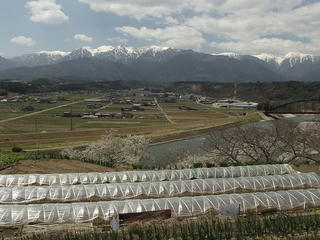 120424_1223_駒ヶ根市吉瀬から望む中央アルプス（駒ヶ根市）