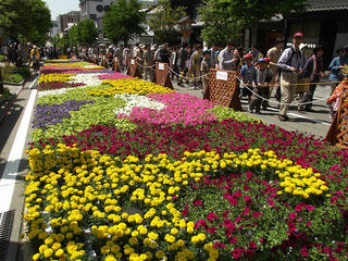 120505_1018_善光寺花回廊 ながの花フェスタ２０１２（長野市）