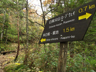 121007_1002_本白根山登山（群馬県）