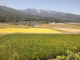 120926_1216_秋の伊那谷（飯島町七久保）