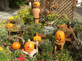 121014_1330_第１２回いいやま花フェスタ～寺町花街道（飯山市）