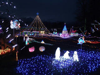 121215_1707_2012光のページェント（安曇野市）