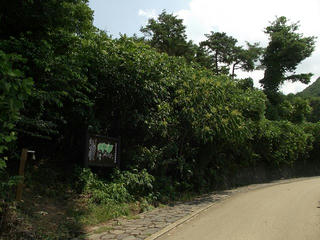 120817_1230_雁田山・すべり山入口（小布施町）