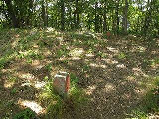 120817_1057_雁田山・反射板跡（小布施町）