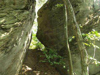 120817_1118_雁田山（小布施町）