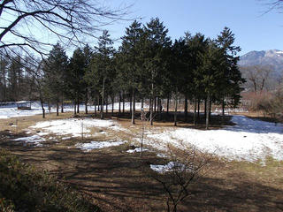 130203_1007_殿島城址（伊那市）