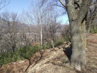 130203_1003_殿島城址（伊那市）