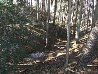 130203_1009_殿島城址（伊那市）