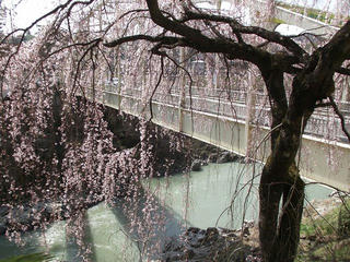 130330_1321_天竜峡（飯田市）