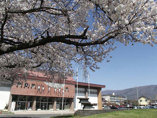 130413_1407_塩尻市役所周辺の桜並木（塩尻市）