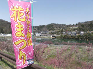 130414_1140_ろうかく梅園（長野市）