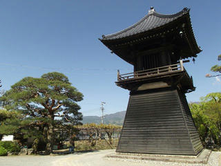 130503_0922_泉龍院の三色藤（豊丘村）