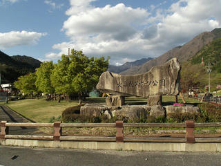 130503_1706_1_大桑村スポーツ公園に咲く八重桜（大桑村）