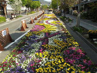 130505_0905_善光寺花回廊 花フェスタ２０１３（長野市）