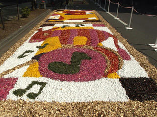 130505_0909_善光寺花回廊 花フェスタ２０１３（長野市）