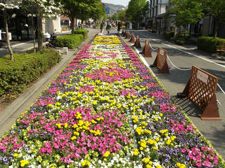 130505_0907_善光寺花回廊 花フェスタ２０１３（長野市）