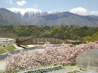 130502_1100_駒ヶ根市吉瀬から望む中央アルプスの山並み（駒ヶ根市）