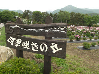 130601_1257_養命酒駒ヶ根工場・四季咲きの丘（駒ヶ根市）