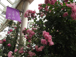 130608_1356_2_伊那バラまちフェスタ（伊那市）