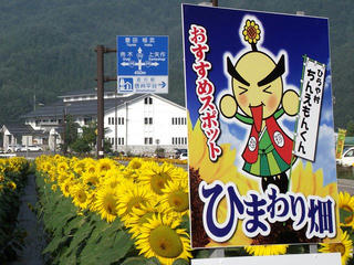 130814_0725_国道１５３号線共同店舗前花壇のひまわり（平谷村）