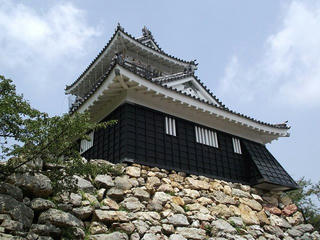 130814_1251_1_浜松城公園（静岡県浜松市）