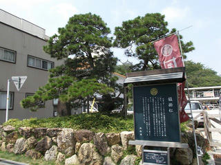 130814_1256_浜松城公園（静岡県浜松市）