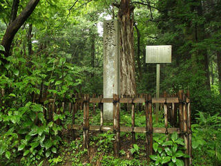 130713_1027_倶利伽羅峠・巴塚葵塚（富山県小矢部市）