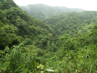 130713_1044_倶利伽羅峠・源氏ヶ嶺（富山県小矢部市）