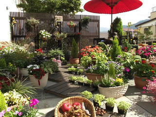 131006_1250_いいやま花フェスタ 寺町花街道（飯山市）