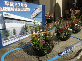 131006_1251_2_いいやま花フェスタ 寺町花街道（飯山市）